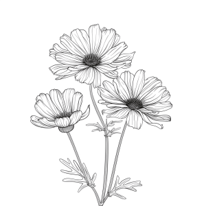 Autumn chrysanthemums in the fog - Autumn chrysanthemums as a coloring page