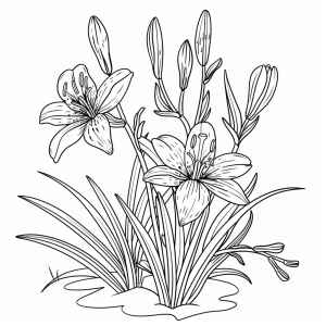 Lilies at the water's edge - Lilies at the water's edge - Creative coloring picture