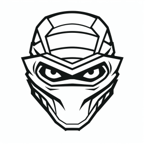 Ninja Turtle - Ninja turtle warrior mask for children