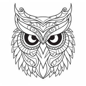 Owl - Mystical owl motif for children