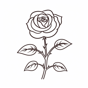 Red roses - Red rose coloring page