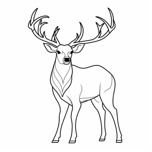 Reindeer - Reindeer coloring drawing