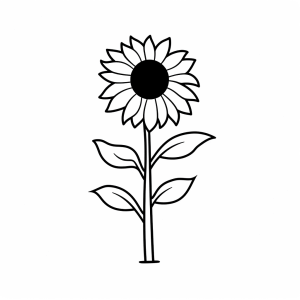 Sunflower - Sunflower drawing for children