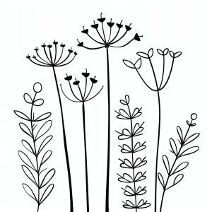 Wildflowers at the edge of the forest - Wildflowers meadow coloring page